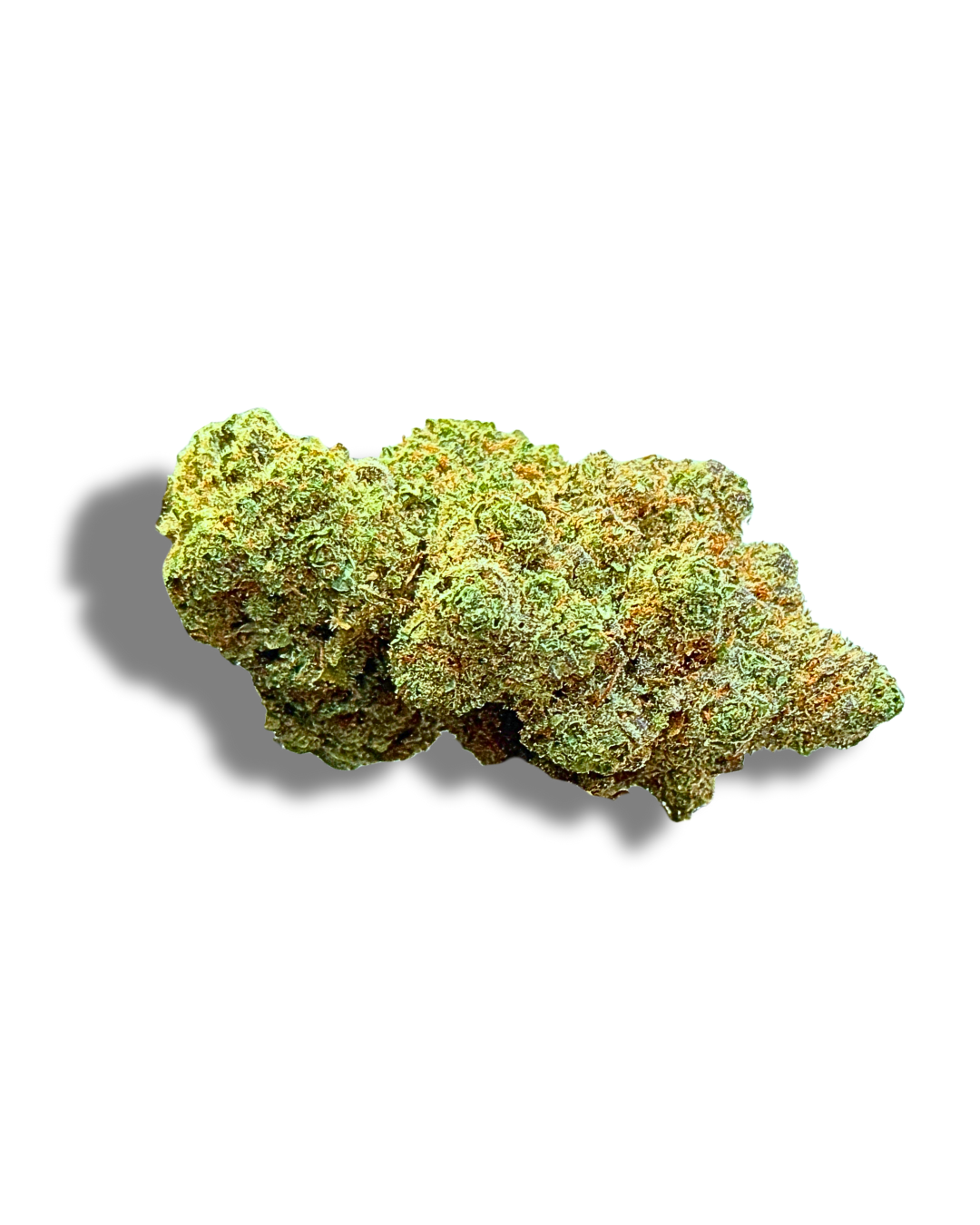 La Santa