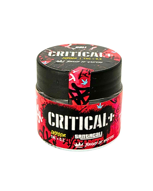Critical +