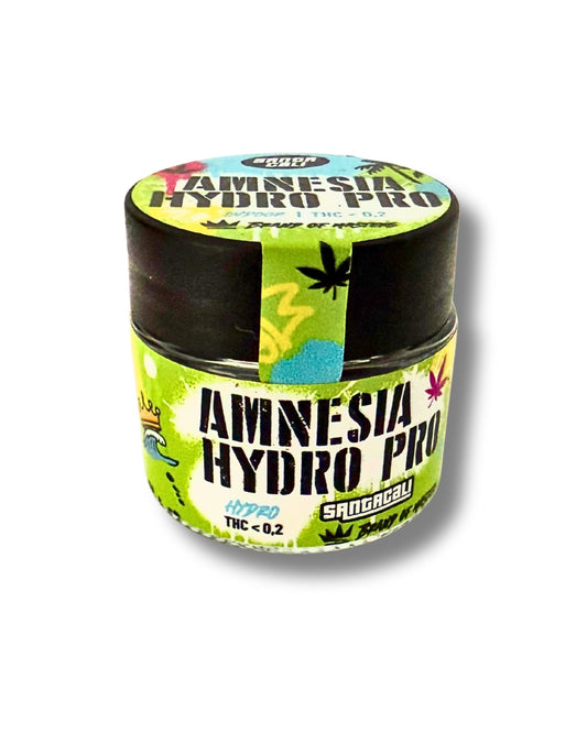 Amnesia Hy-Pro