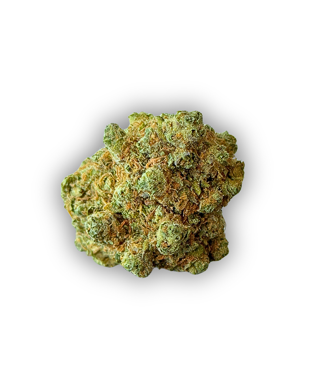 Amnesia Hy-Pro