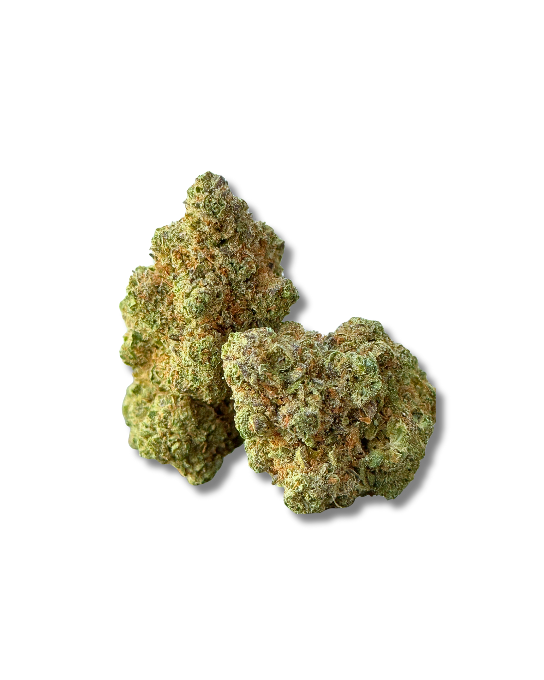Critical +